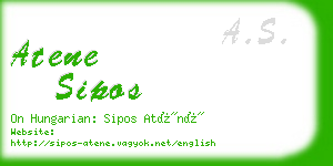 atene sipos business card